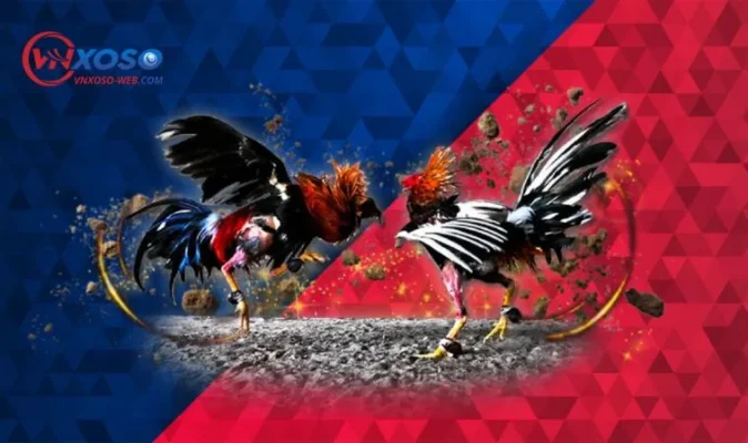 Đa dạng cách xuống vốn giúp VNXOSO được săn đón