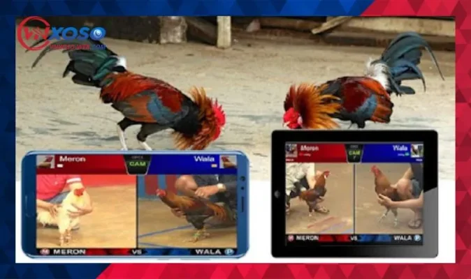 Hướng dẫn chơi cược tại Vnxoso để sớm thắng lớn