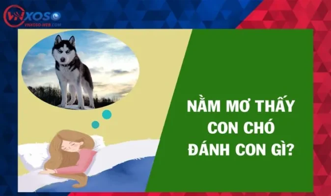 Mơ thấy chó đánh số mấy trúng đề?