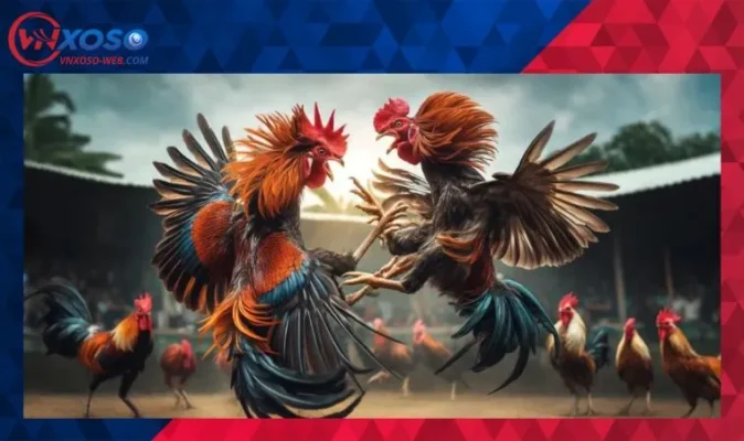 Tiêu chí chọn địa chỉ đá gà uy tín